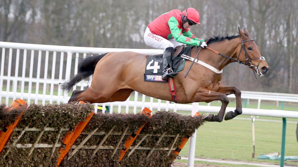 Neon Wolf: runner-up in the Neptune Novices' Hurdle