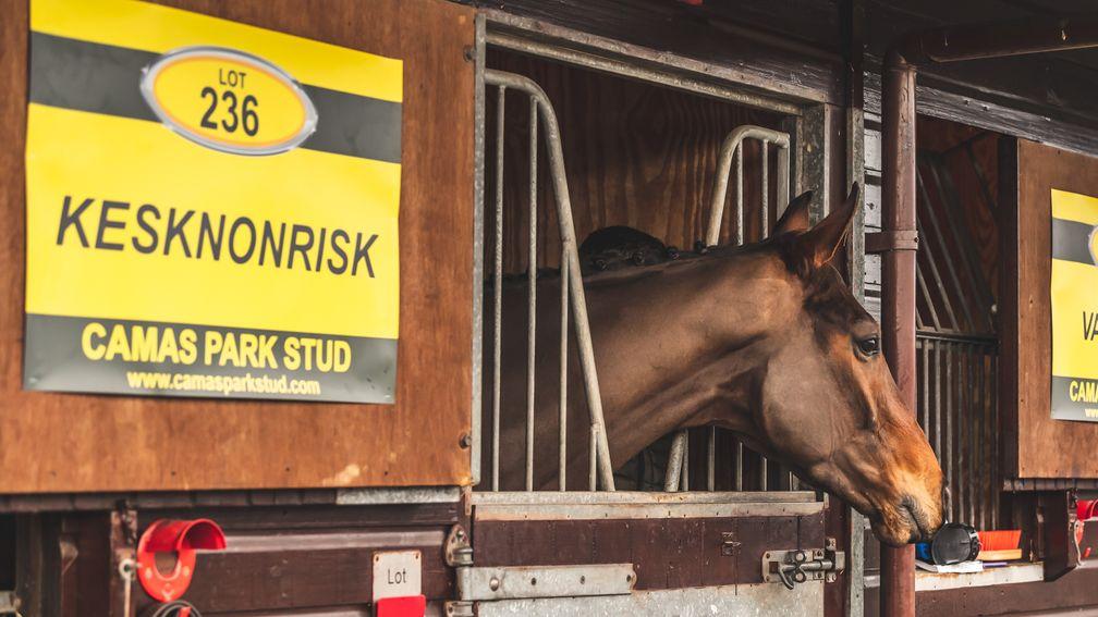 Keskonrisk keeps an eye on proceedings from his stable