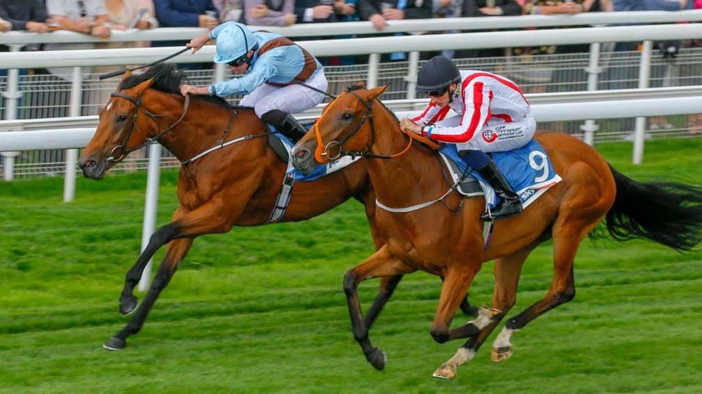 Fairyland (left): just fended off The Mackem Bullet in last season's Lowther Stakes