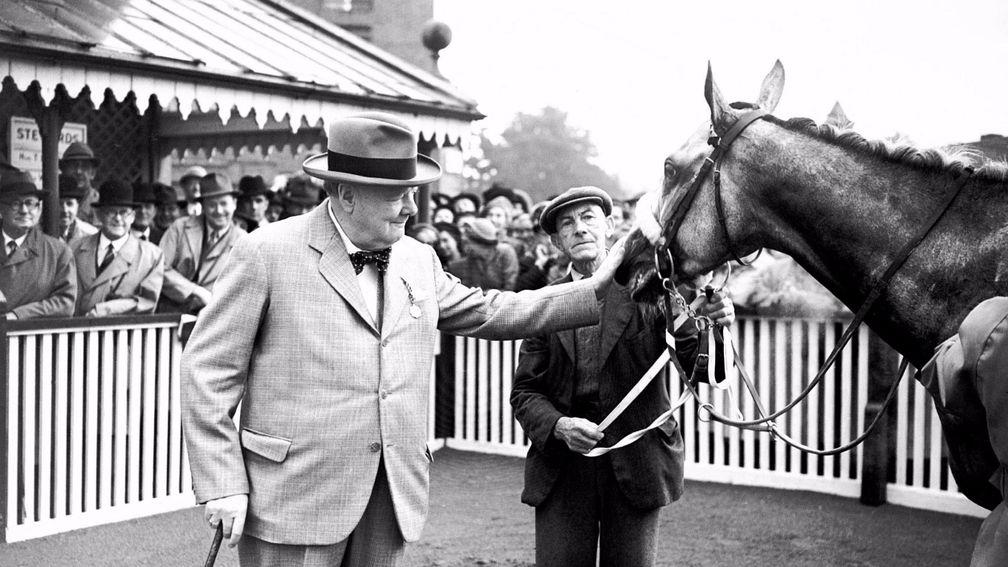 Sir Winston Churchill greets his first horse Colonist II after victory at Sandown in 1950