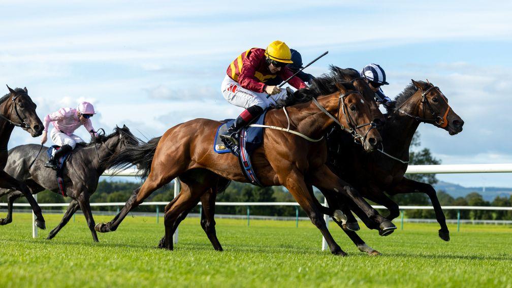 Hellsing: Listed winner could provide Colin Keane with another valuable win at the Curragh