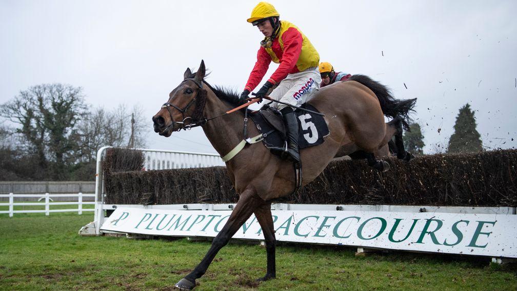 Christmas In April: could run in the Welsh National next