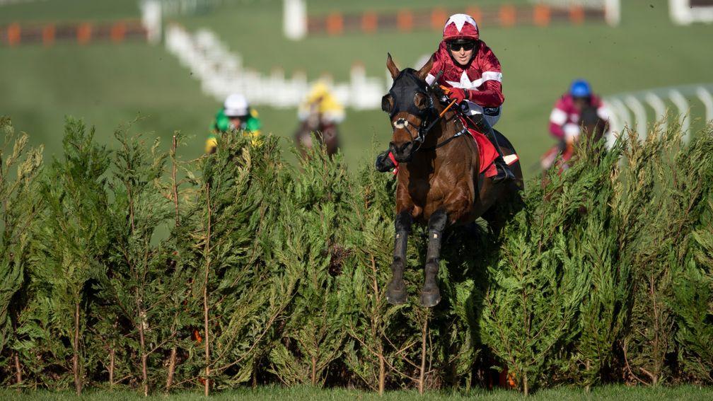 Tiger Roll (Keith Donoghue) jumps the final obstacle and wins the Cross CountryCheltenham 17.3.21 Pic: Edward Whitaker/Racing Post