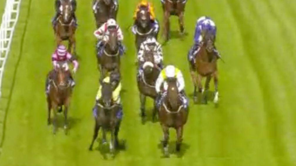 Whistledown (black and yellow) jinks left at the line to hand victory to Amazonian Dream
