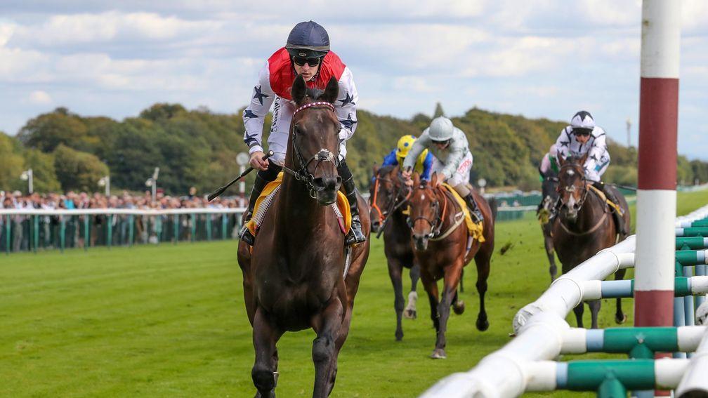 Great Scot: retains his unbeaten record at Haydock in spectacular style
