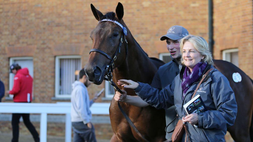 Astrodome, pictured selling at Book 1 of the Tattersalls October Yearling Sale in 2021, makes his debut at Doncaster on Saturday
