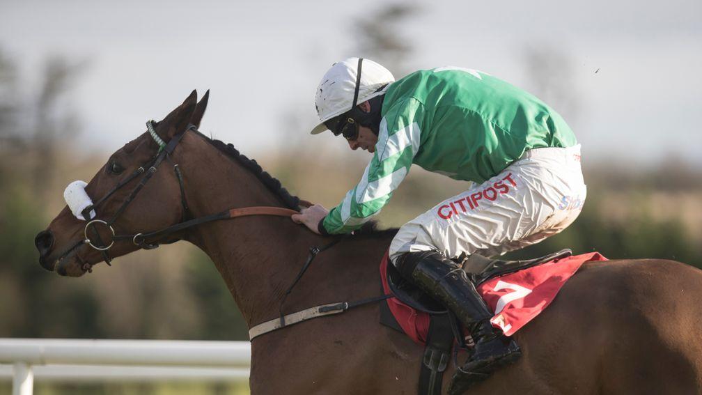 Presenting Percy: will run in the Bobbyjo Chase at Fairyhouse or the Red Mills Chase at Gowran Park before Cheltenham