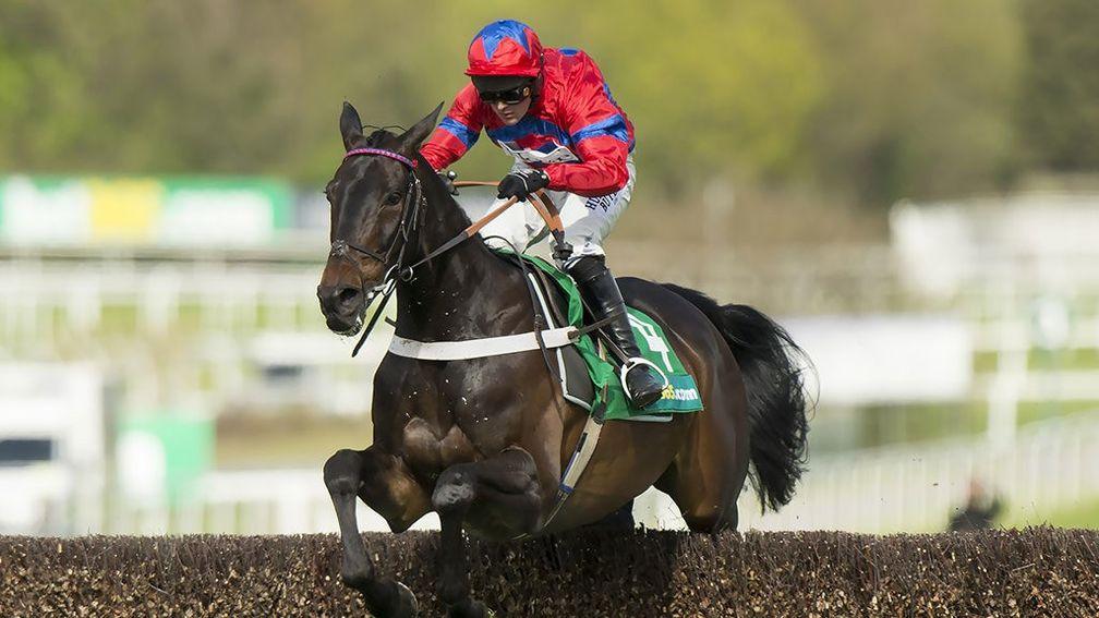 Sprinter Sacre: clears the last en route to winning the Celebration Chase at Sandown