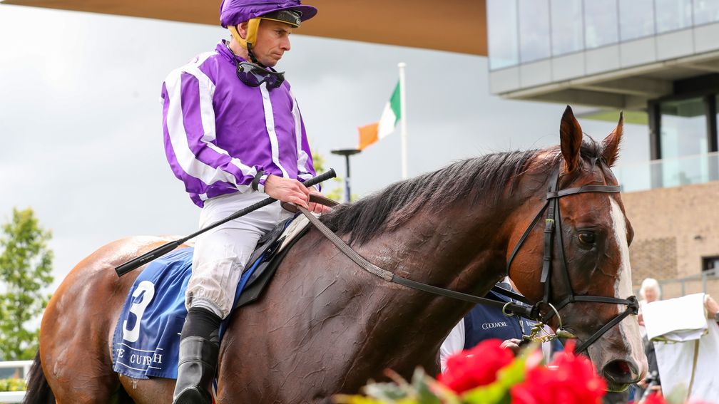 Diego Velazquez: Frankel colt struck Group 1 victory at Deauville