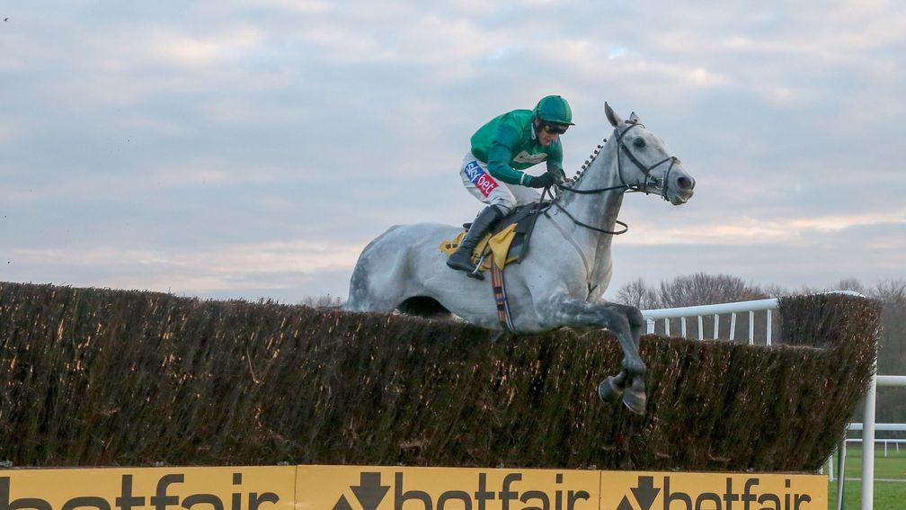 Bristol De Mai: goes to Kempton on Boxing Day in better shape than last year