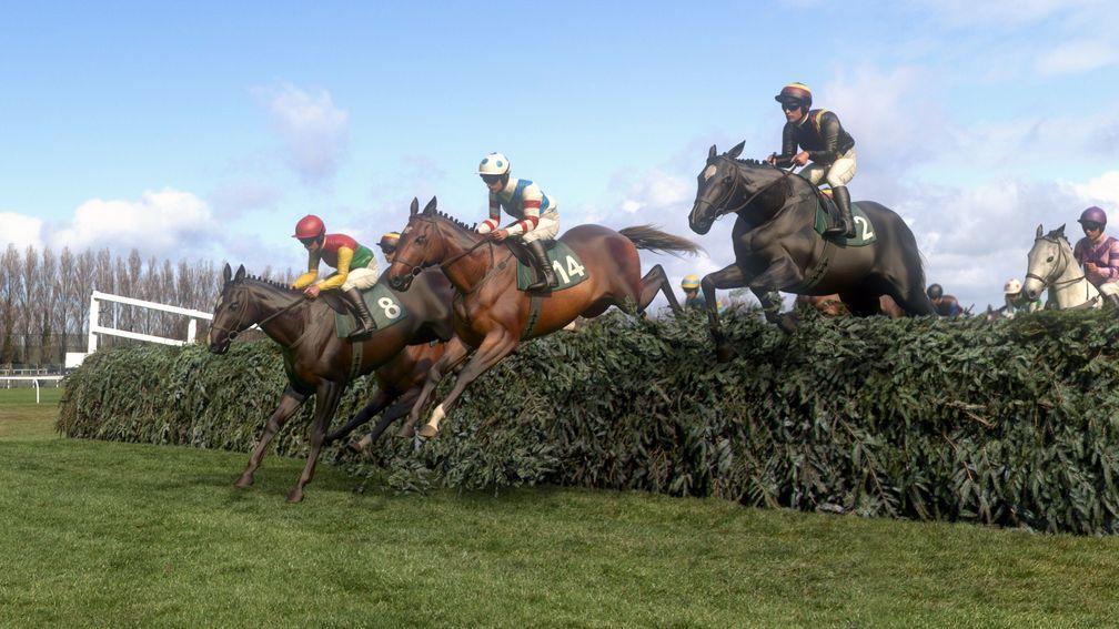 A significant television audience watched the Virtual Grand National on ITV on Saturday