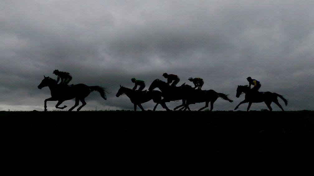 Runners race against the darkening skyline at Punchestown on Thursday