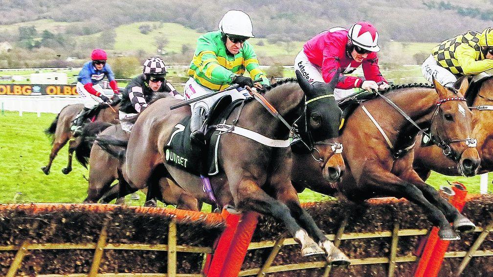 Aintree regulars: My Tent Or Yours (near side) comes to beat The New One at Cheltenham in December