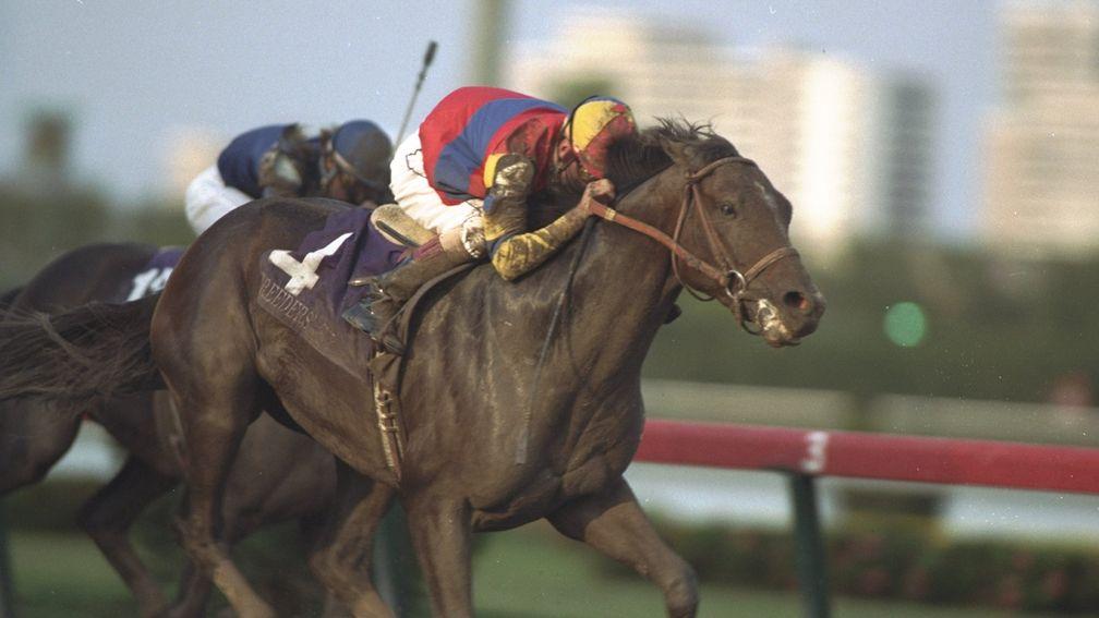 A.P. Indy on his way to winning the Breeders' Cup Classic