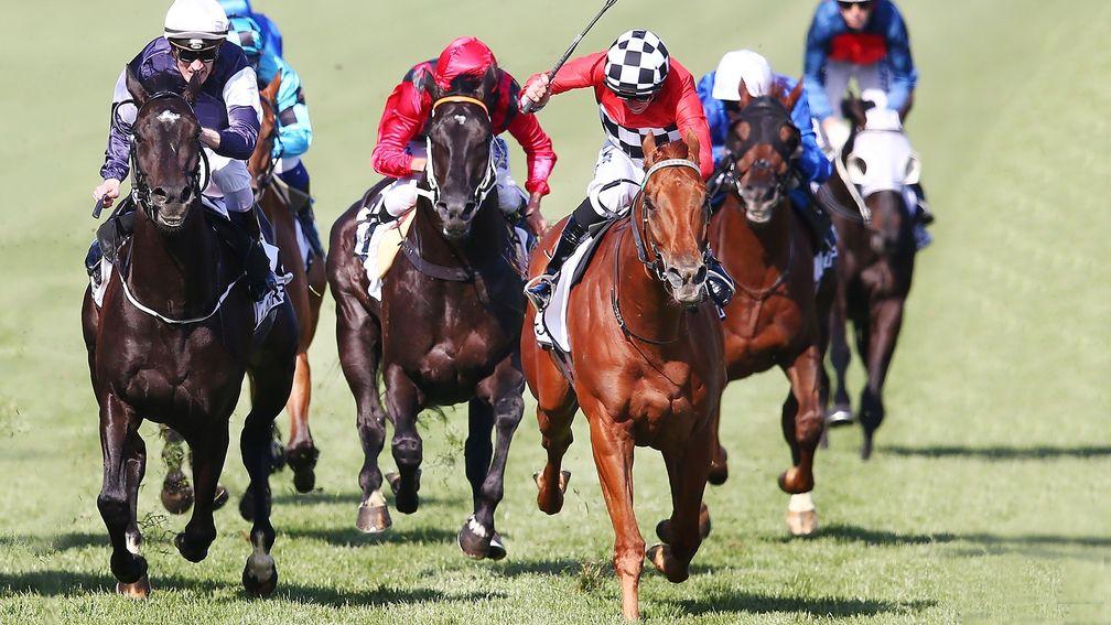 Latrobe (white cap) is beaten a head by Trap For Fools in the Group 1 Mackinnon Stakes