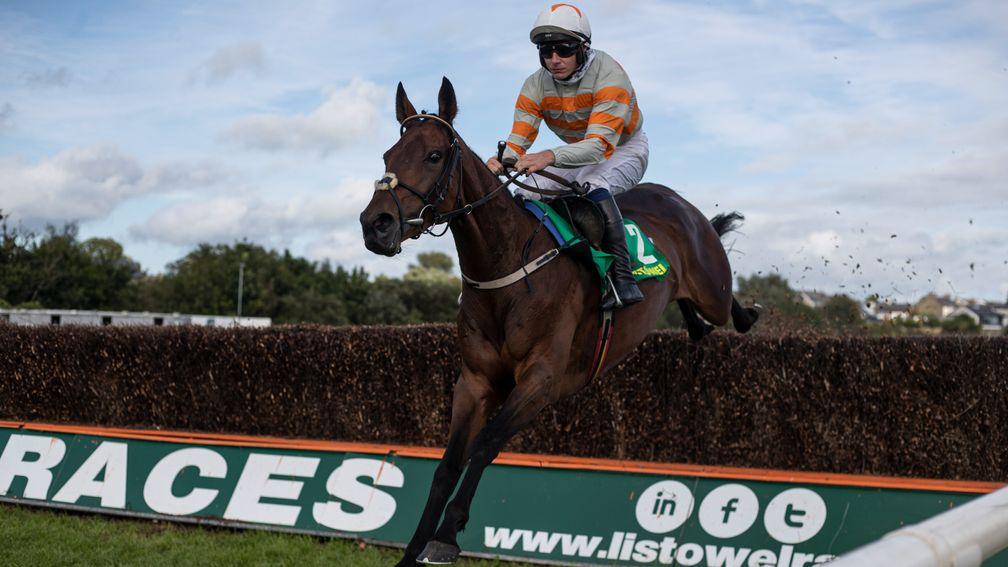 Robinnia: out to make it three wins in seven starts over fences