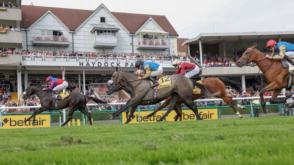 Big Mojo: struck at 16-1 in the Sprint Cup