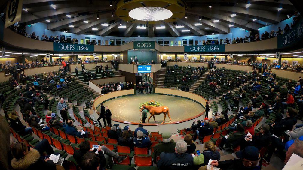 Richard Knight is looking forward to the Goffs and Arqana Breeze-Up Sale at Goffs
