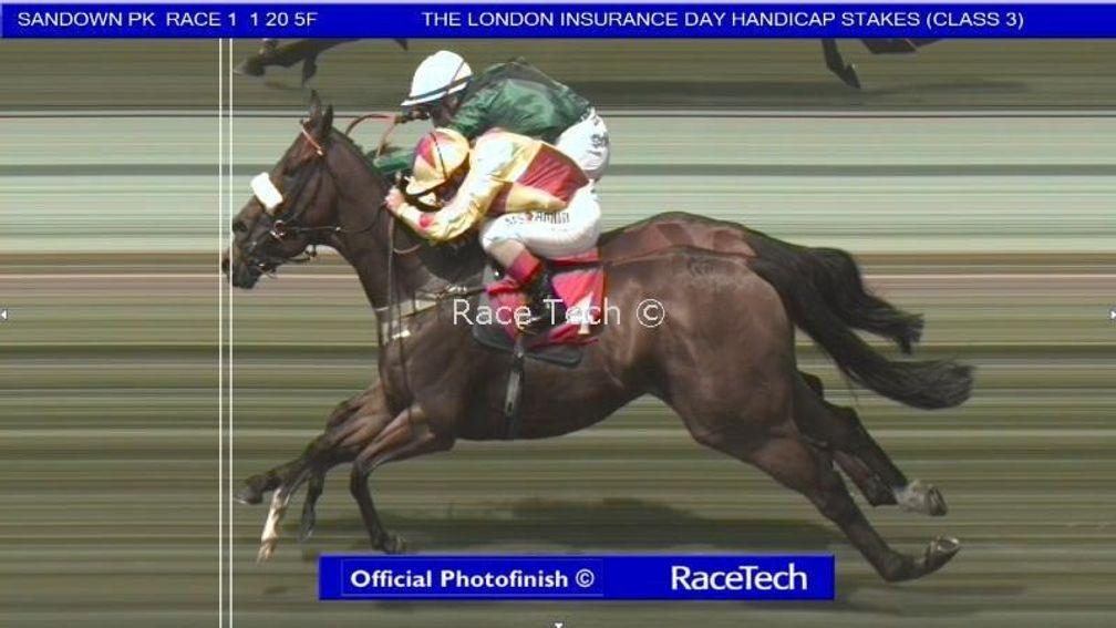 Sandown: Rio Ronaldo (near) was wrongly called the winner initially from Vibrant Chords (green)