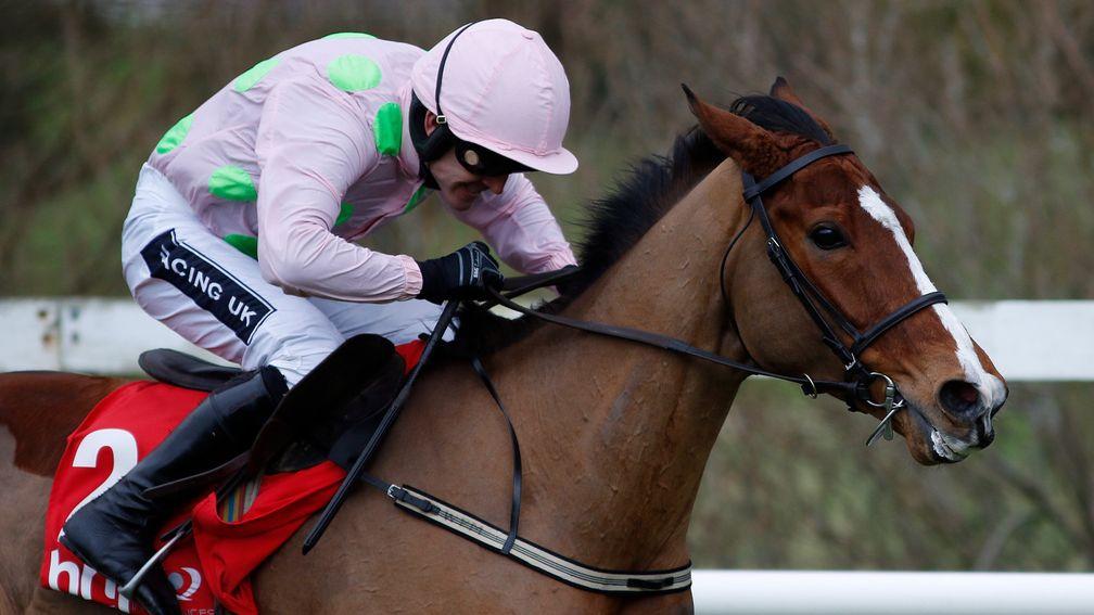 Walsh on Faugheen, who returns to action in the Morgiana Hurdle at Punchestown