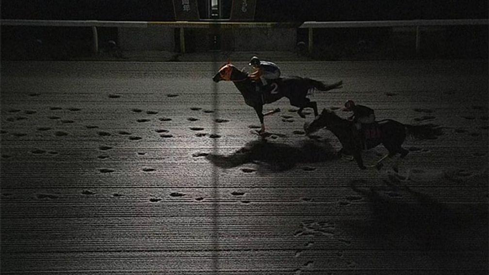 Race declared void after lights go out during a 7f handicap in Japan