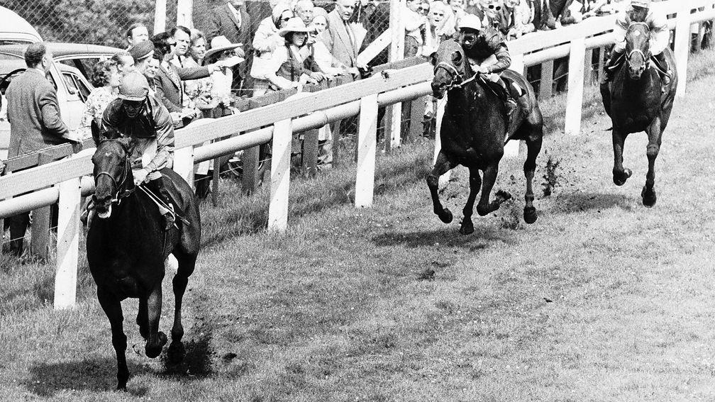 Brigadier Gerard and Joe Mercer ease to victory in the Sussex Stakes