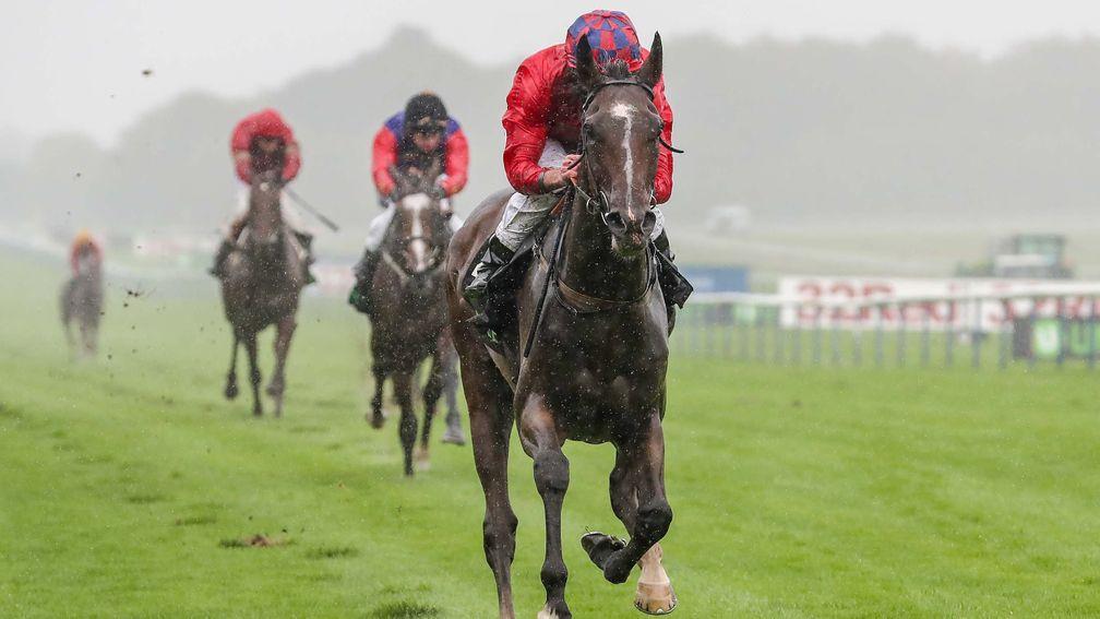 Mekong shrugged off heavy ground to land the spoils at Haydock last September