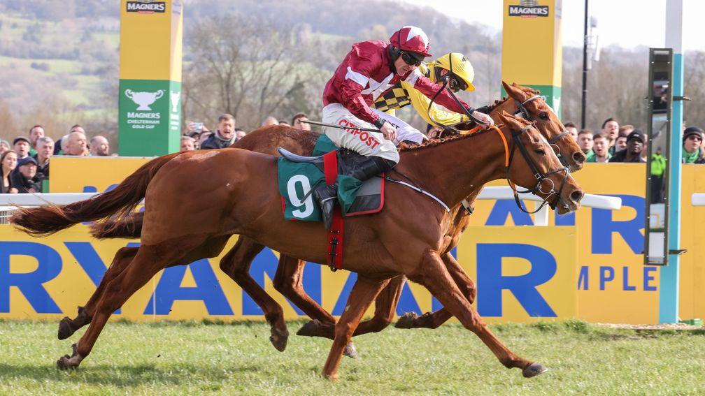 Samcro: will be aimed at the Galway Plate
