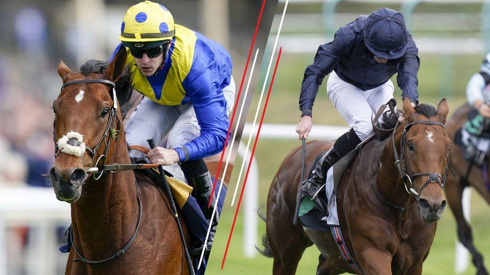 Desert Crown (left) and United Nations: among our experts' Derby fancies