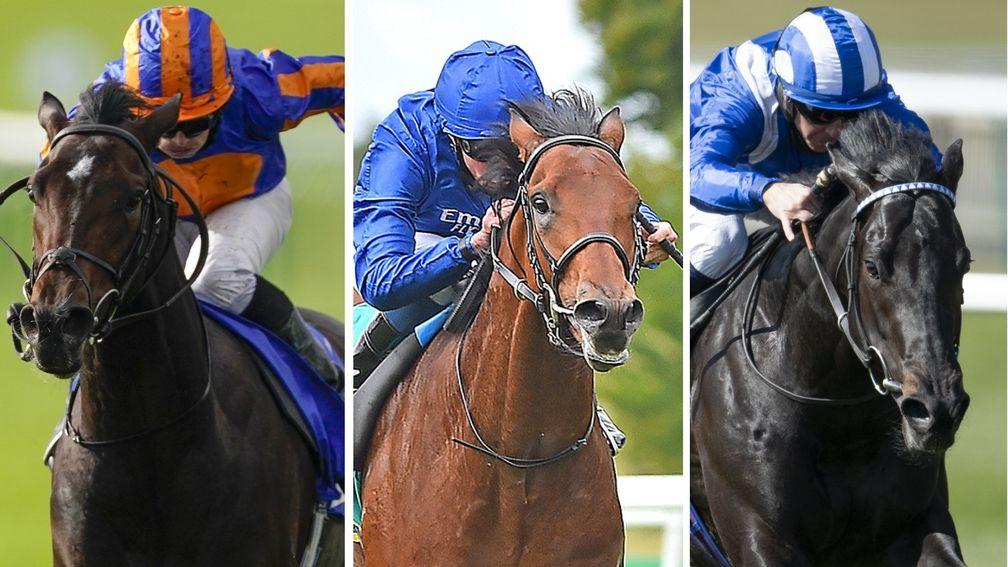 Wembley, Master Of The Seas and Mutasaabeq line up in the 2,000 Guineas on Saturday