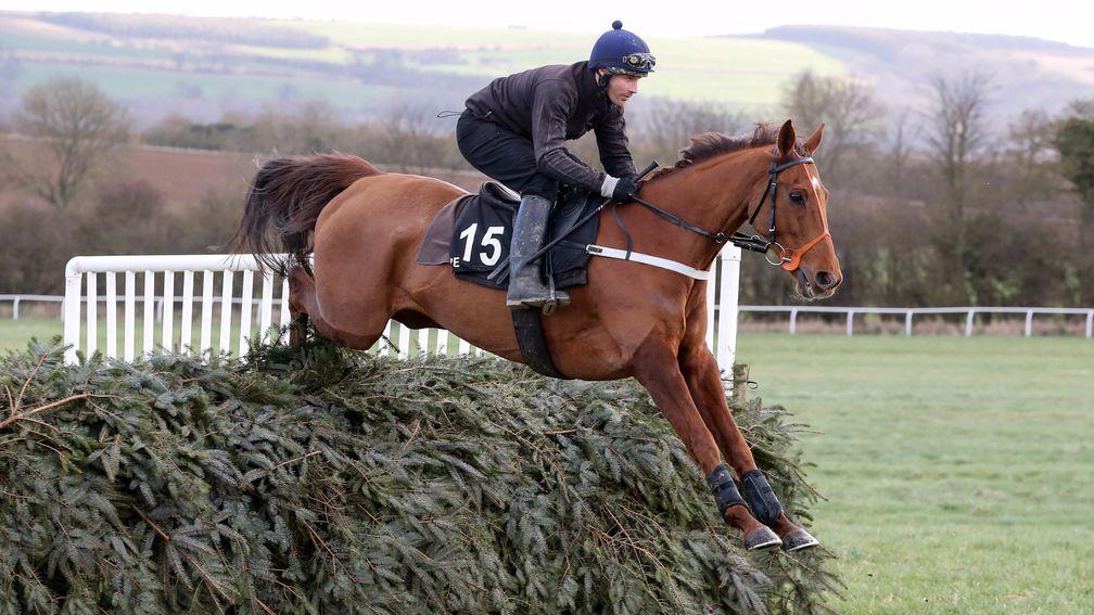Definitly Red (Danny Cook) schooling over Grand National-style fences