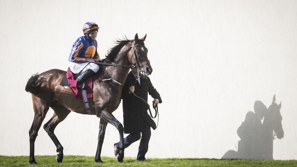Order Of St George is more likely to head to the Arc, says trainer Aidan O'Brien