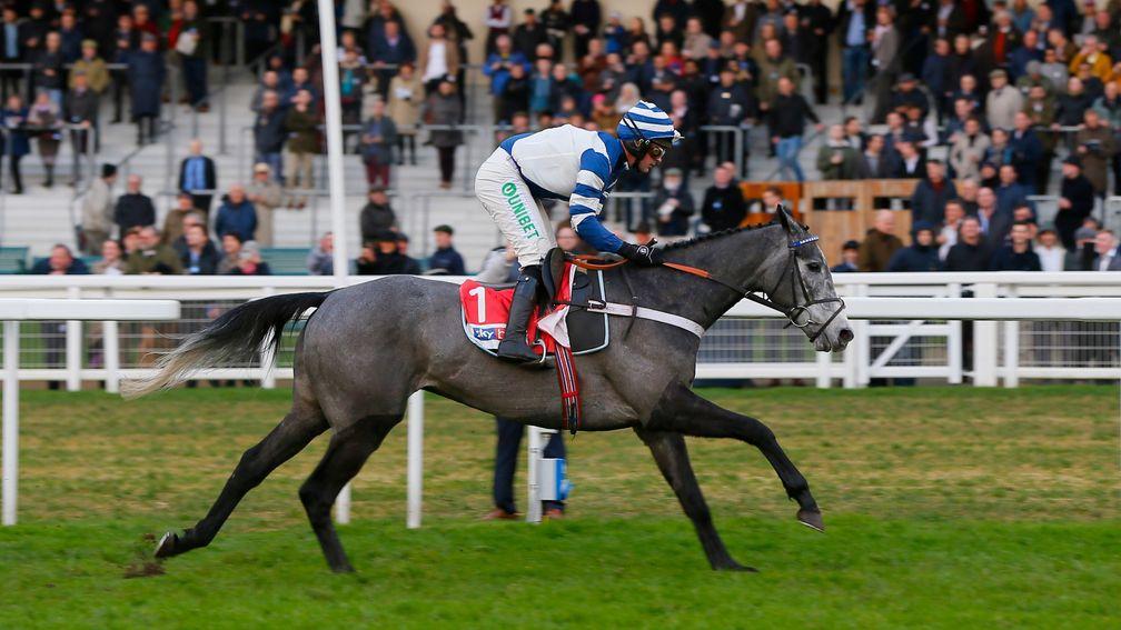 Angels Breath: entered over fences at Warwick on Wednesday