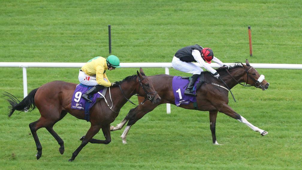 Amma Grace (right) digs deep to defeat Roca Roma at Leopardstown