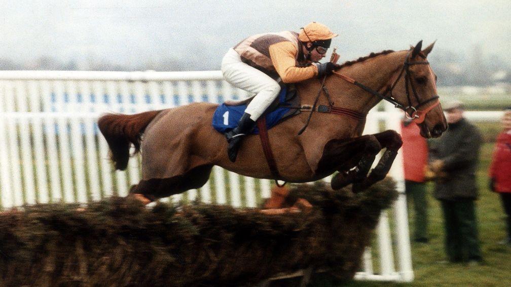 Beech Road: the 1989 Champion Hurdle winner owned by Tony Geake