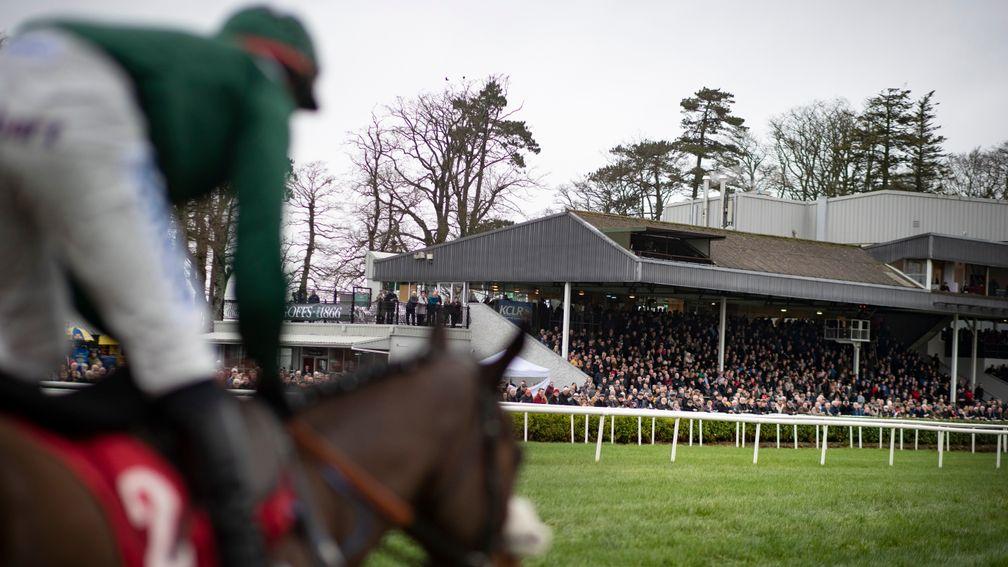 Gowran Park: likely to have restricted crowd of 4,500 for marquee fixture next week