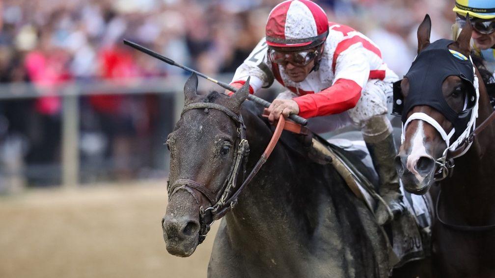 Cloud Computing on his way to victory in the Preakness Stakes
