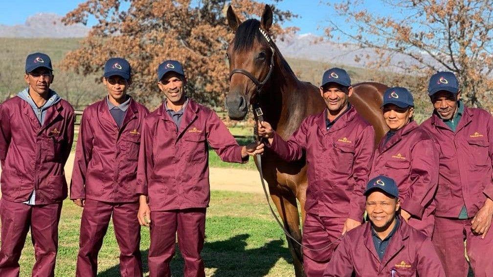 The Cheveley Stud grooms pictured with their Futura yearling colt, who sold for R1.2 million