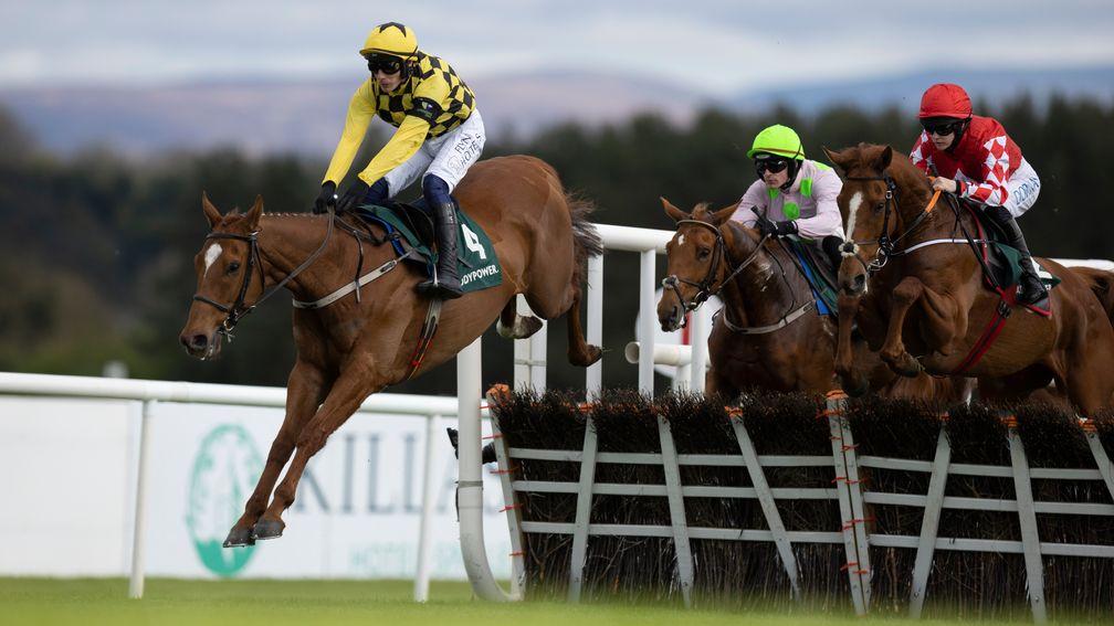 State Man: clears a hurdle on the way to winning the Punchestown Champion Hurdle