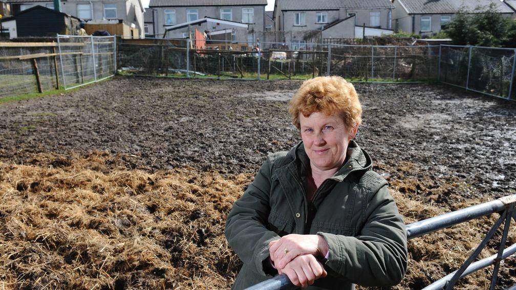 Janet Vokes, who bred Welsh Grand National winner Dream Alliance, pictured at the allotment where she raised him