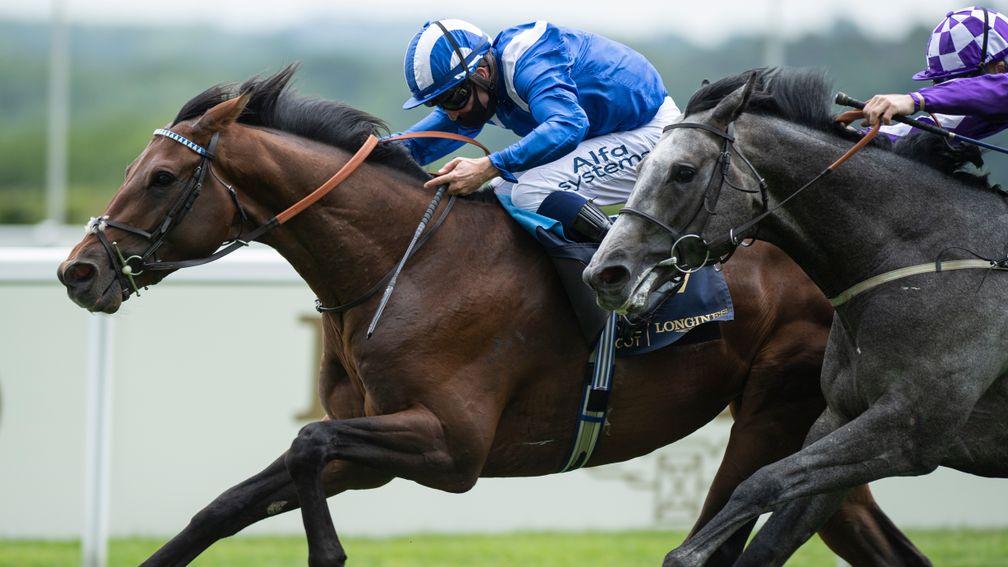 Hukum: gave his trainer a first Royal Ascot winner in the King George V Stakes