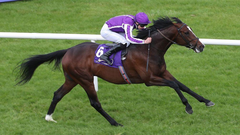Southern France: bids to give Aidan O'Brien a first Cesarewitch victory