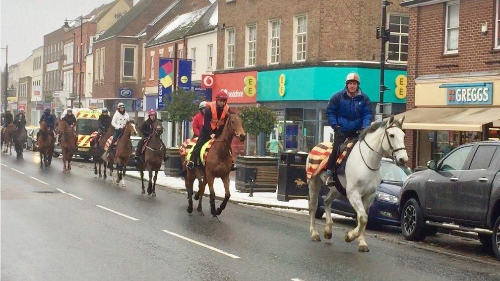 Michael Bell on his hack Miller leads Big Orange and the rest of the Fitzroy House team on Newmarket High Street.