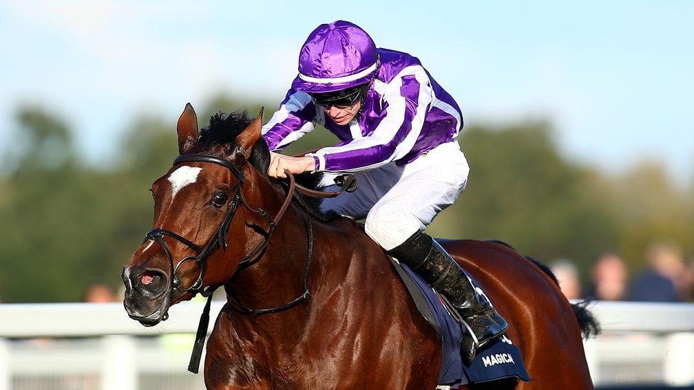 Magical: The Qipco British Champion Stakes winner is set to contest the Breeders' Cup Filly & Mare Turf