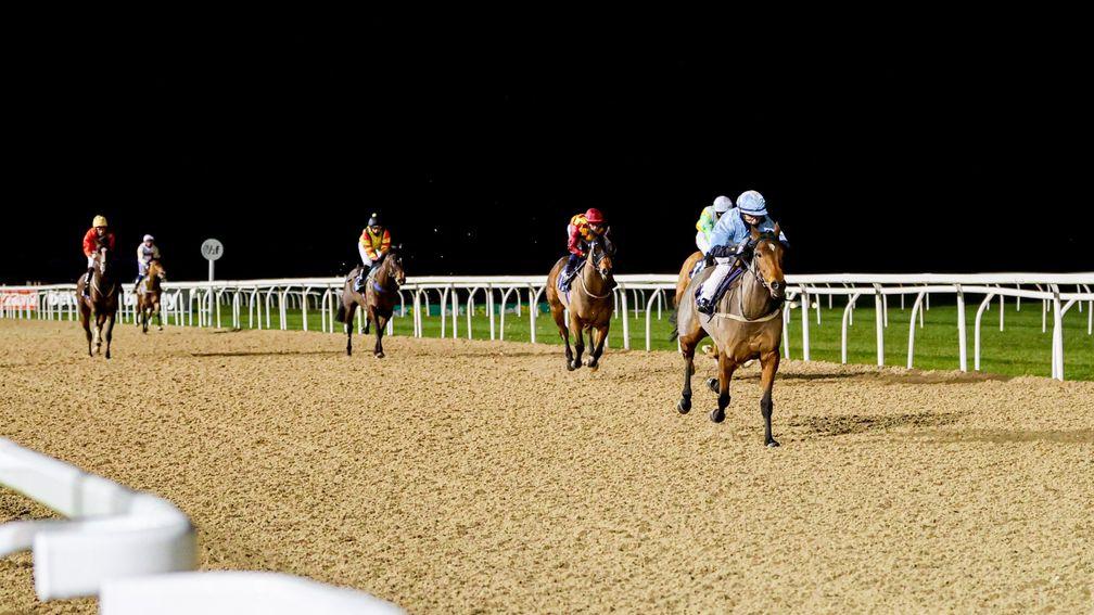 False start horses sprinting to the finish at NEWCASTLE 12/12/20Photograph by Grossick Racing Photography 0771 046 1723