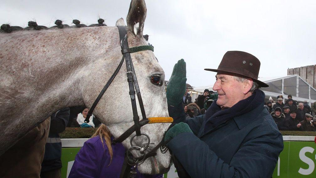 Disko: will not be running in the Gold Cup, according to his trainer Noel Meade