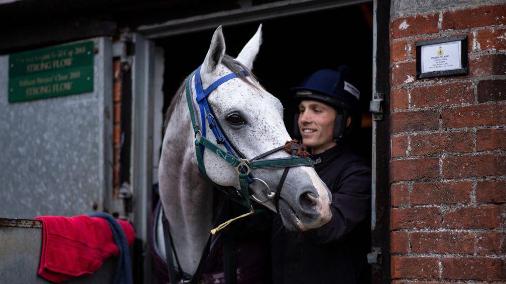 Politologue and Harry Cobden, pictured together last month, will team up in the Shloer Chase