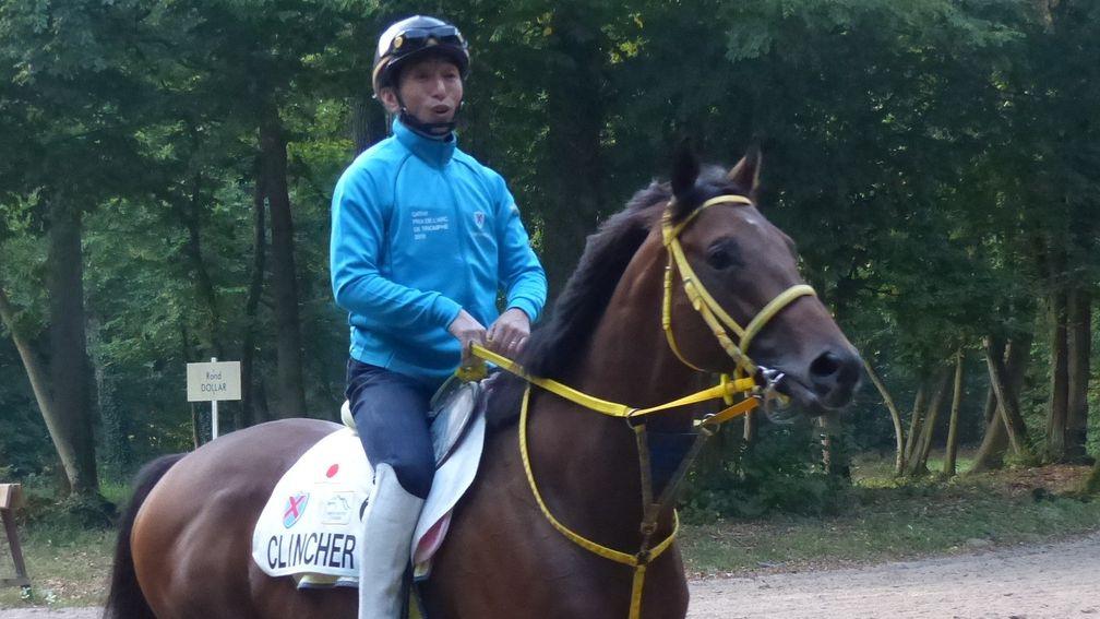 Japanese Arc hopeful Clincher in Chantilly on Wednesday morning