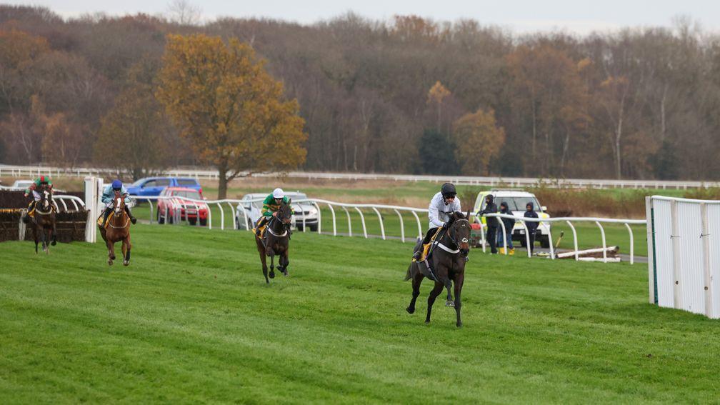 Constitution Hill: clear of his rivals in the Fighting Fifth Hurdle