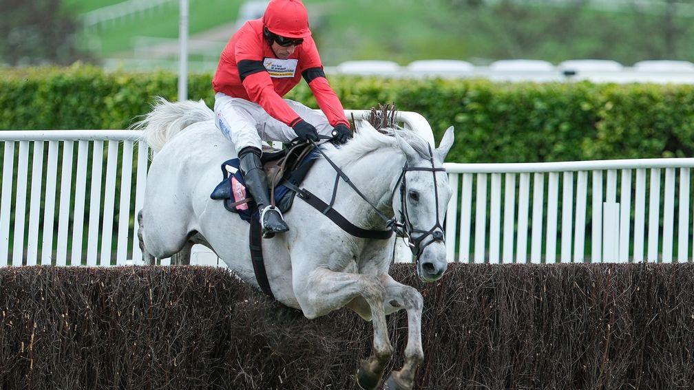 Harry Skelton riding Grey Dawning clear the last to win the Turners Novices' Chase on day three of the Cheltenham Festival